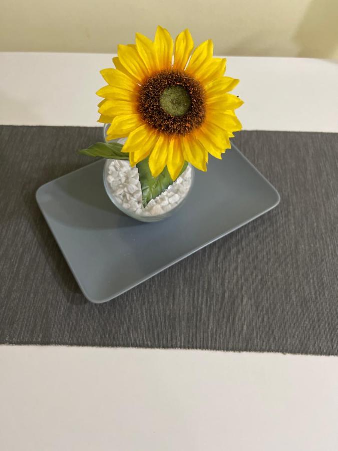 Apartment Sunflower021 Novi Sad Eksteriør billede